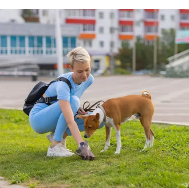 Пакеты для Собачьих Фекалий Purlov 22812 – 1000 шт.