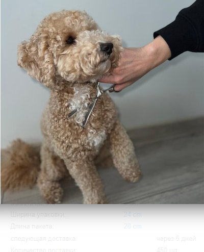 Набір ножиць для стрижки собак Purlov 23186.